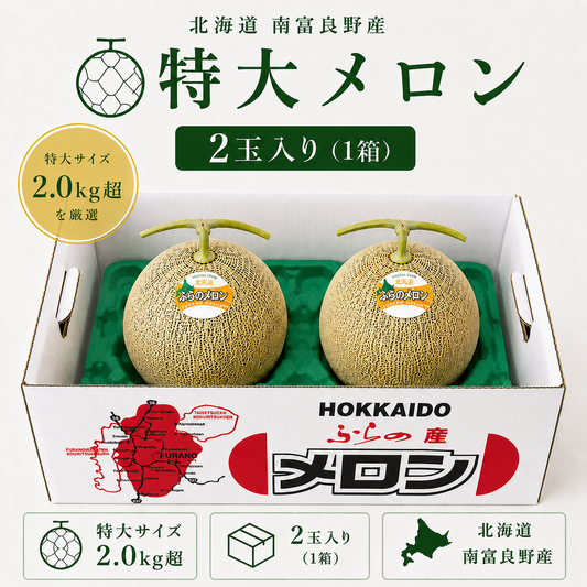 特大メロン 2玉入り（1箱）