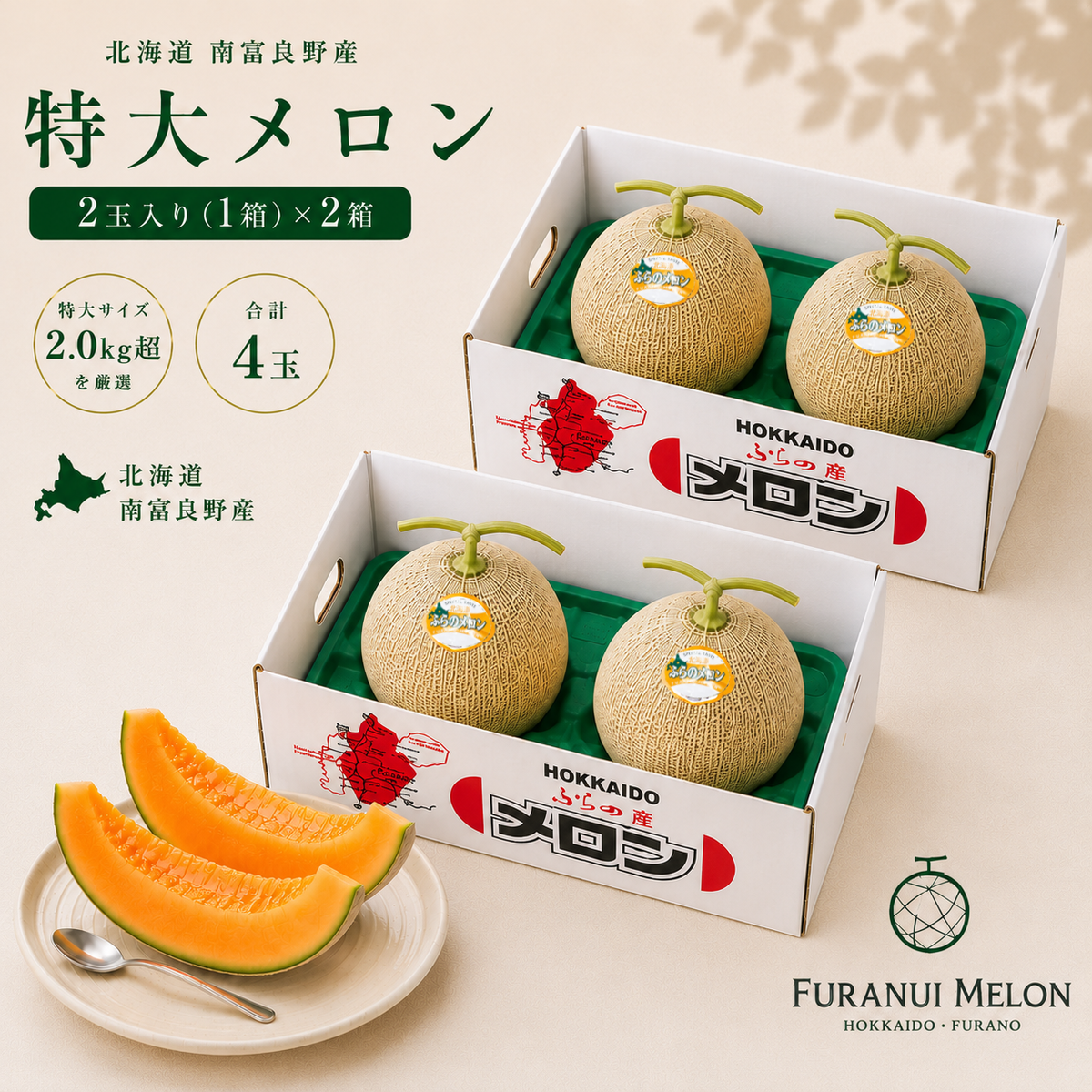 特大メロン 2玉入り（2箱）