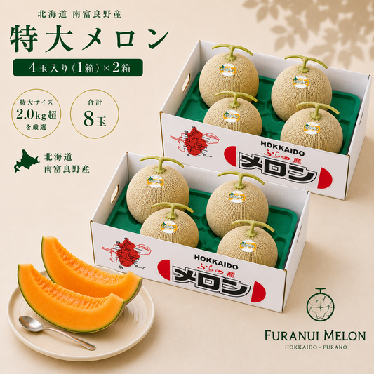 特大メロン 4玉入り（2箱）
