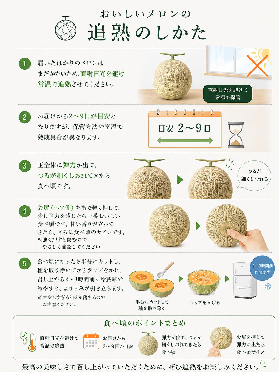 超特大メロン（1玉）
